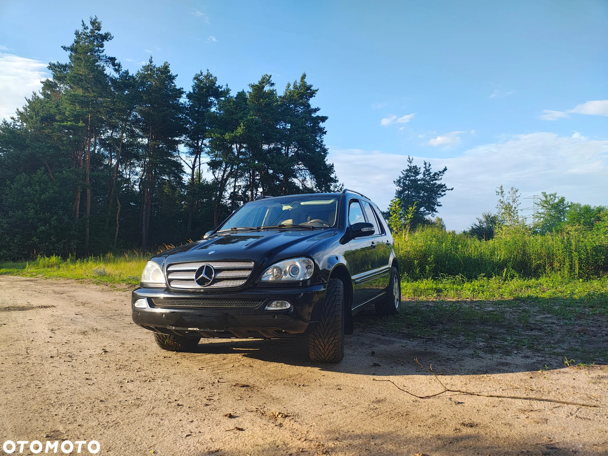 Mercedes-Benz ML 270 CDI Final Edition - 2