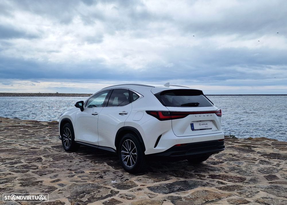 Lexus NX 450h+ - 12