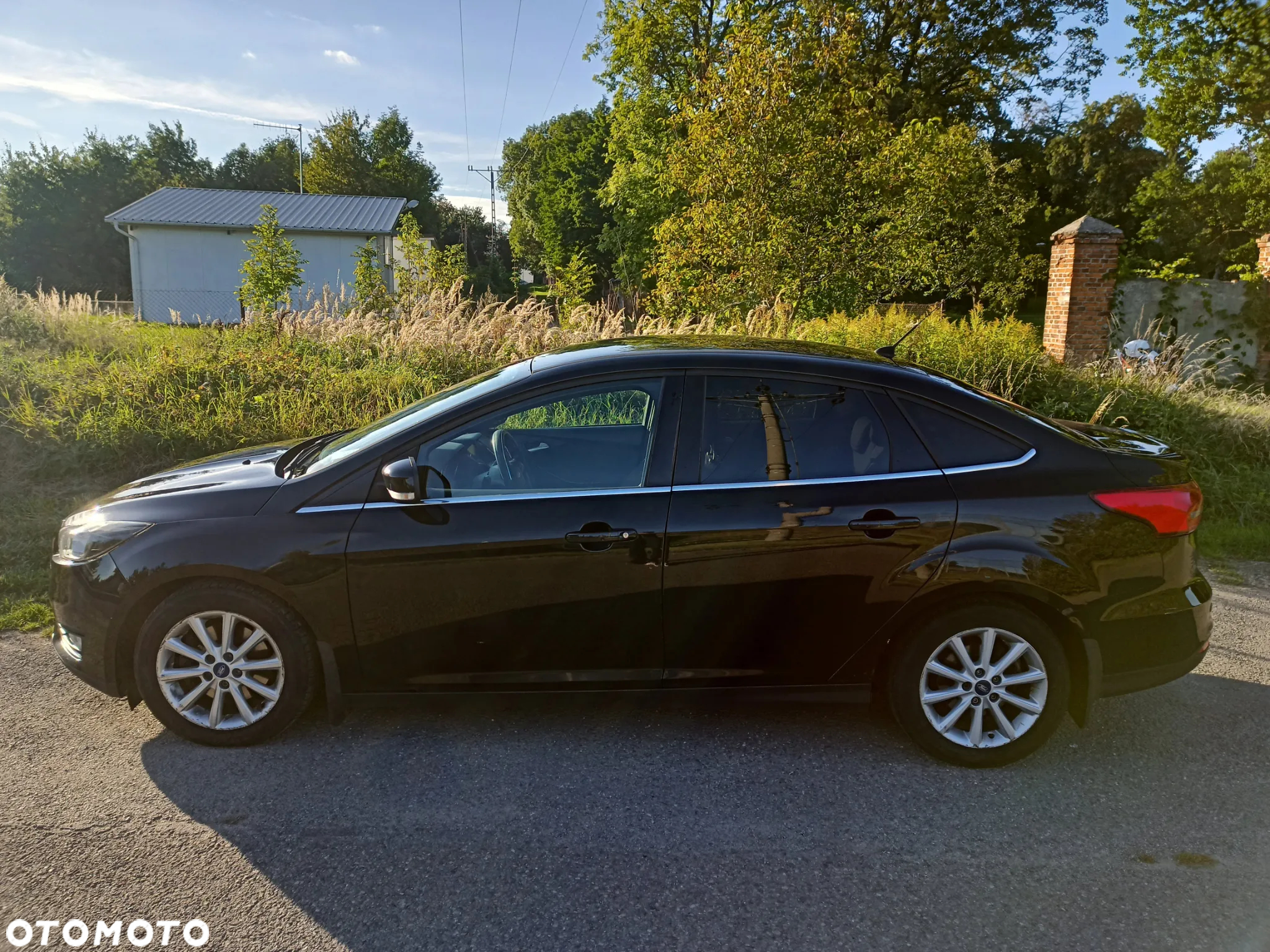 Ford Focus - 6