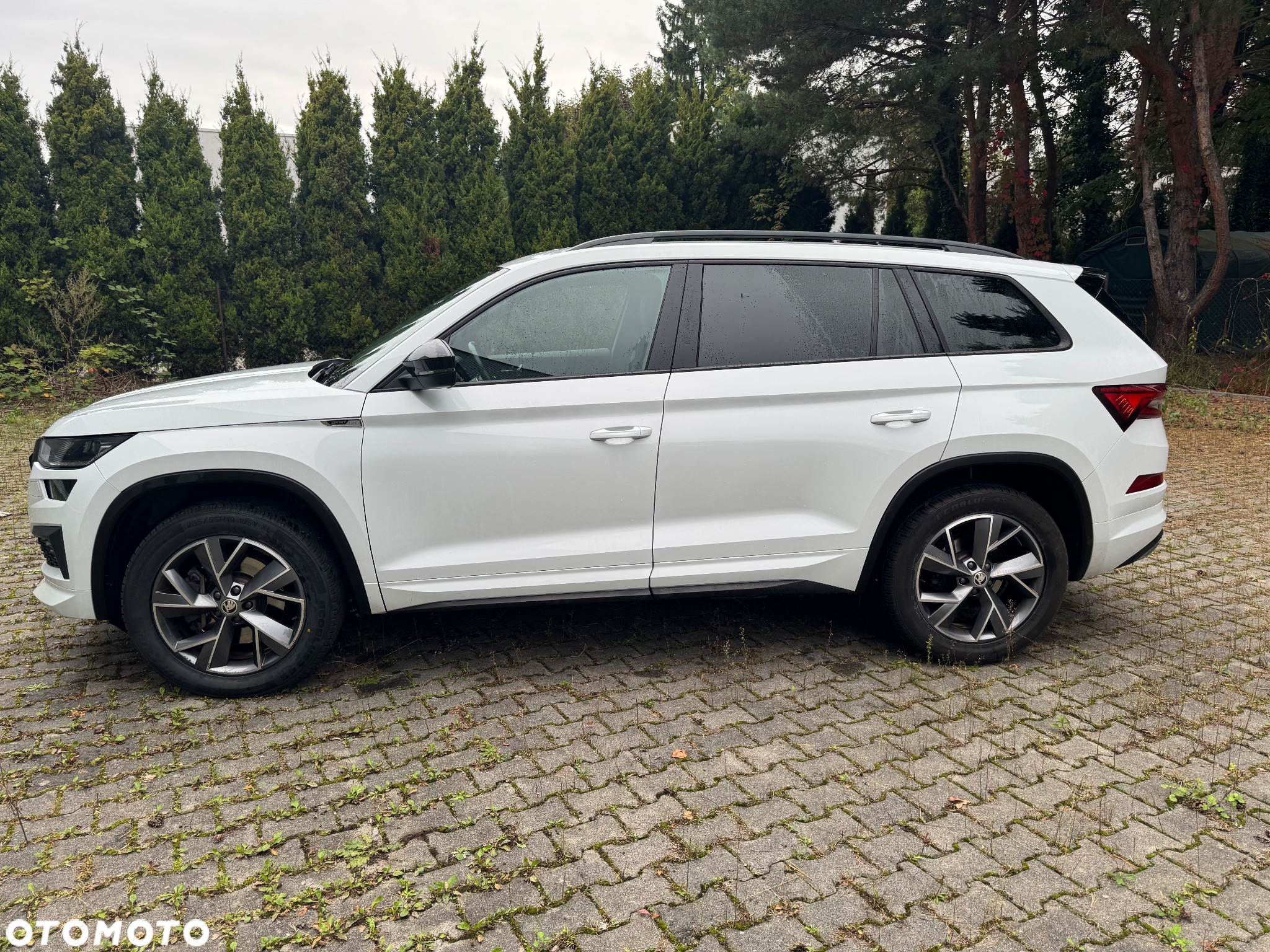 Skoda Kodiaq 2.0 TDI 4x4 Sportline DSG - 12