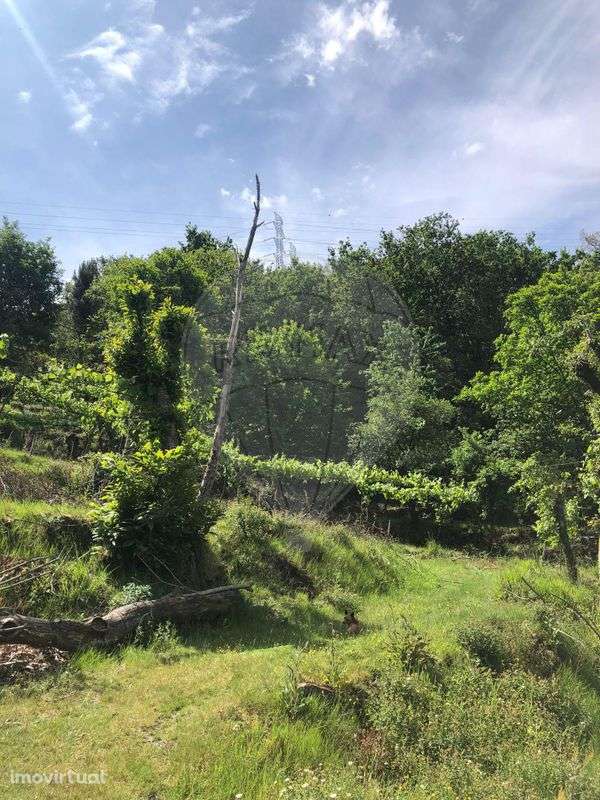 Terreno  para venda - Grande imagem: 2/23