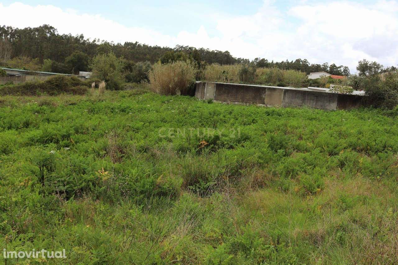 Terreno Rústico em Antanhol, Coimbra – 3.500m² com Árvores de Fruto e  - Grande imagem: 5/8