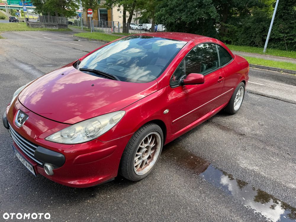Peugeot 307 CC 2.0 - 14