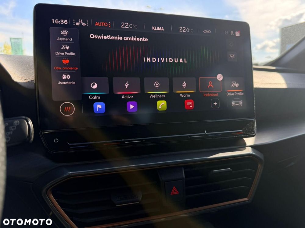 Cupra Formentor 2.0 TSI 4Drive VZ DSG - 16