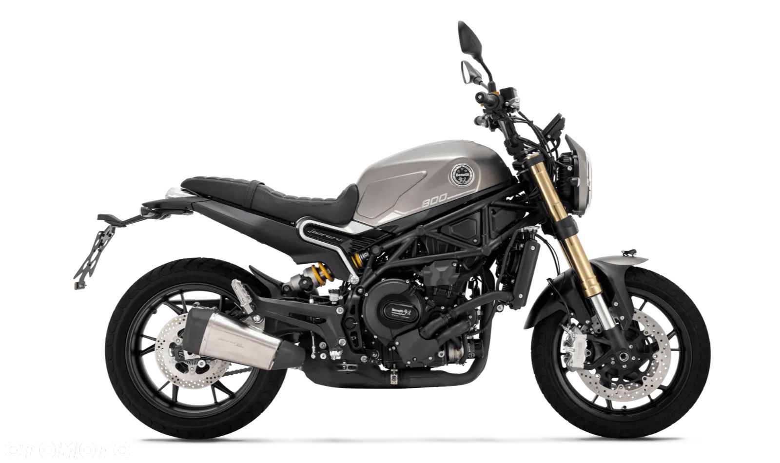 Benelli Leoncino - 1