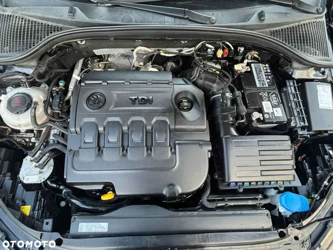 Skoda Octavia 2.0 TDI 4x4 Drive DSG - 24