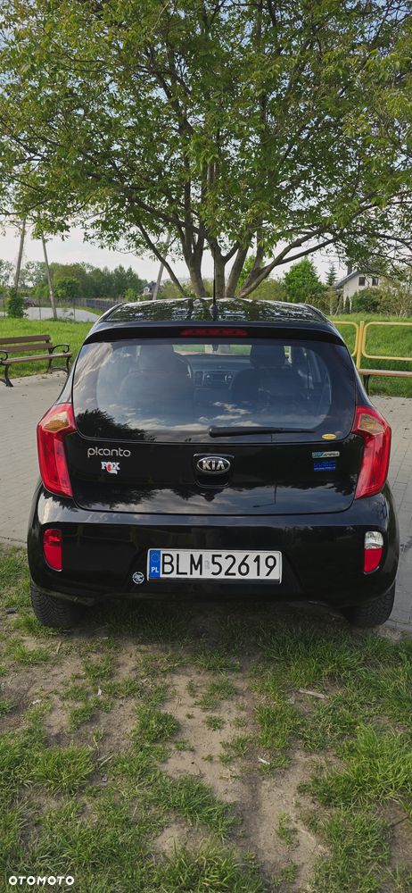 Kia Picanto 1.0 XL - 2