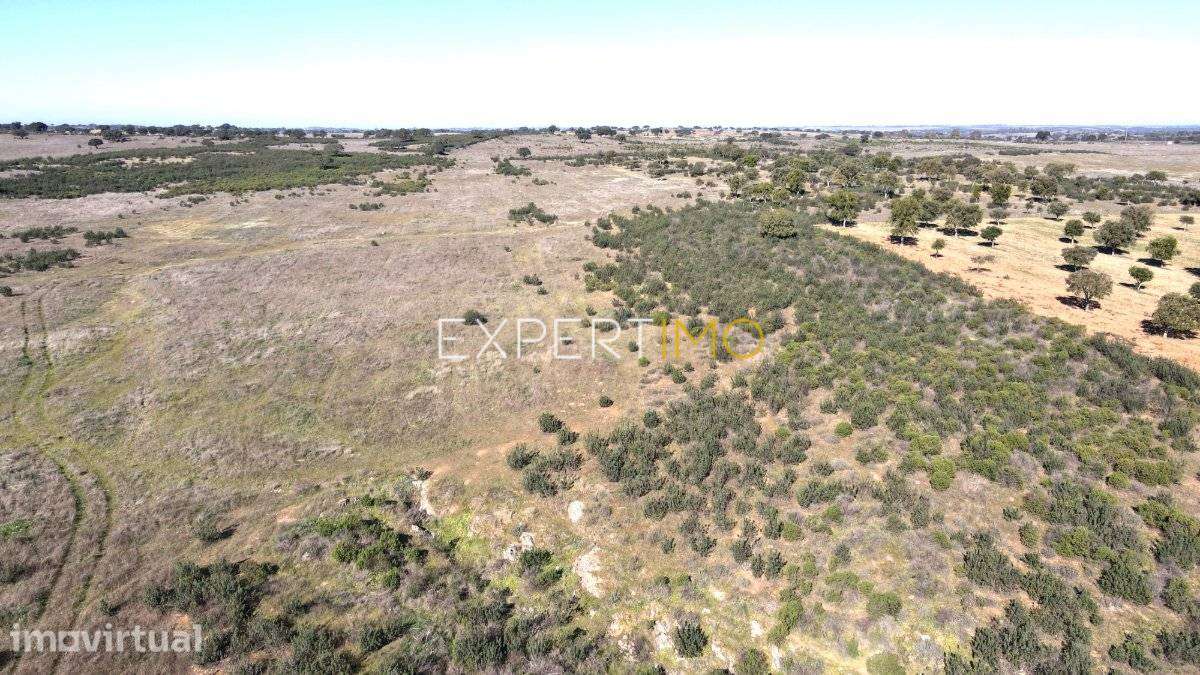 Terreno com 4,9 hectares-Atravessado por Ribeira-Santa... - Grande imagem: 2/14