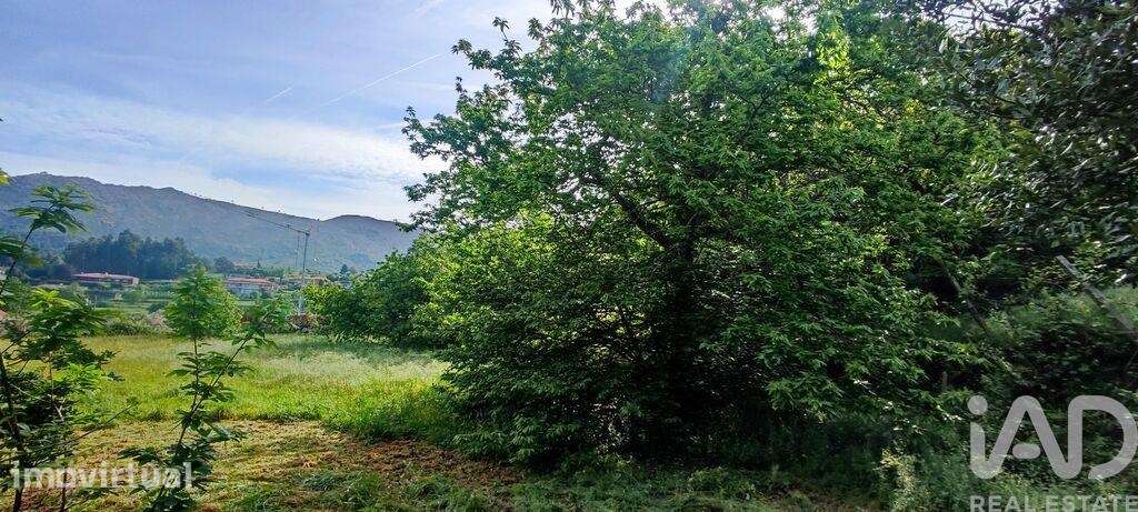 Terreno em Loivo - Grande imagem: 2/6