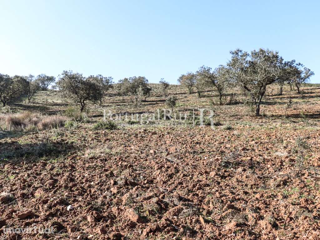 Propriedade de 8 hectares em Terena, Alandroal - Grande imagem: 5/9