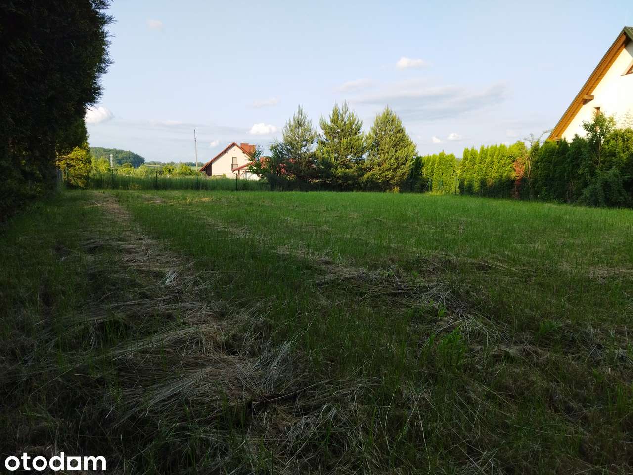 Działka budowlana w Grodźcu - Pełny obrazek: 2/6