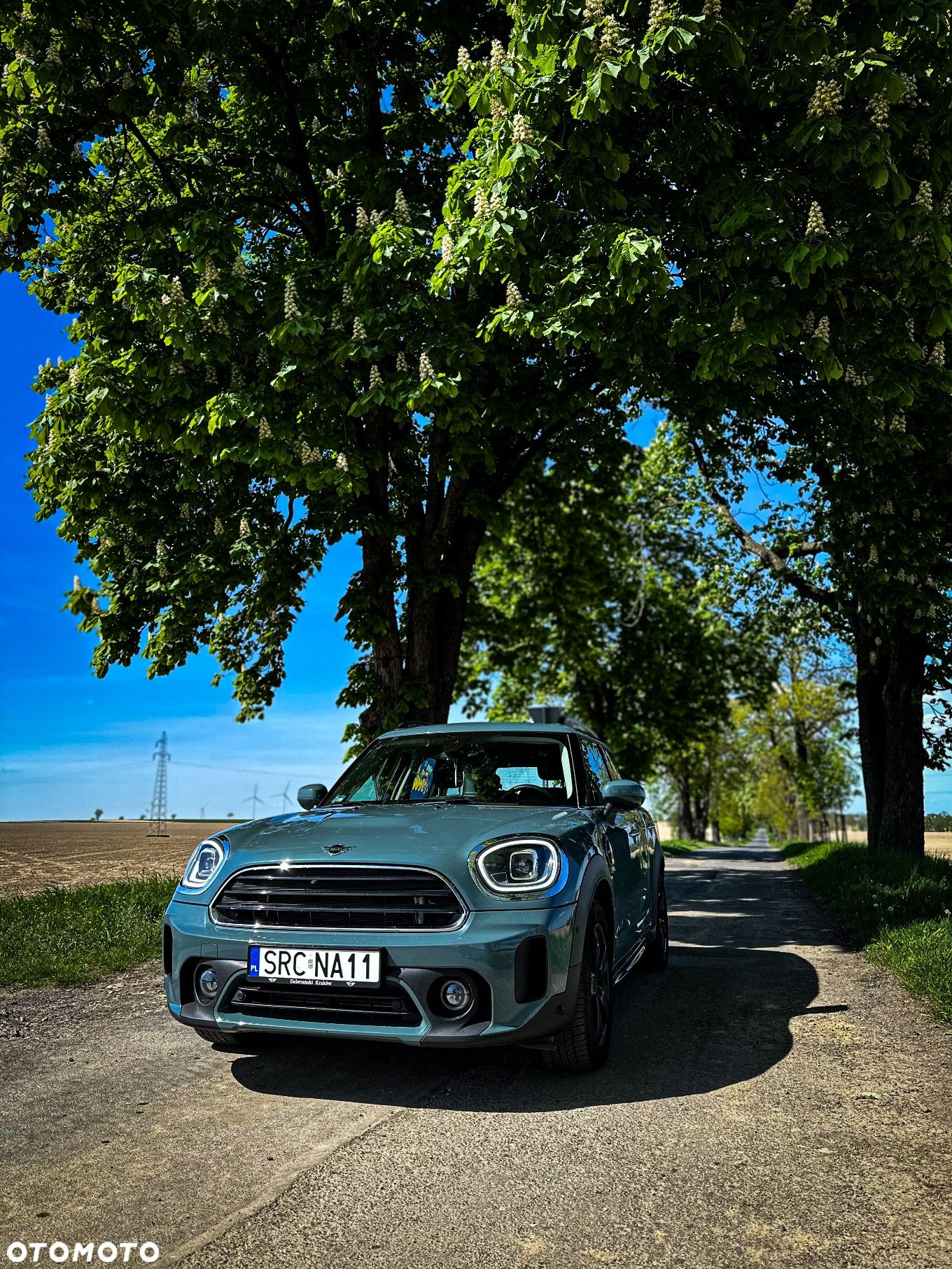 MINI Countryman Cooper ALL4 - 1
