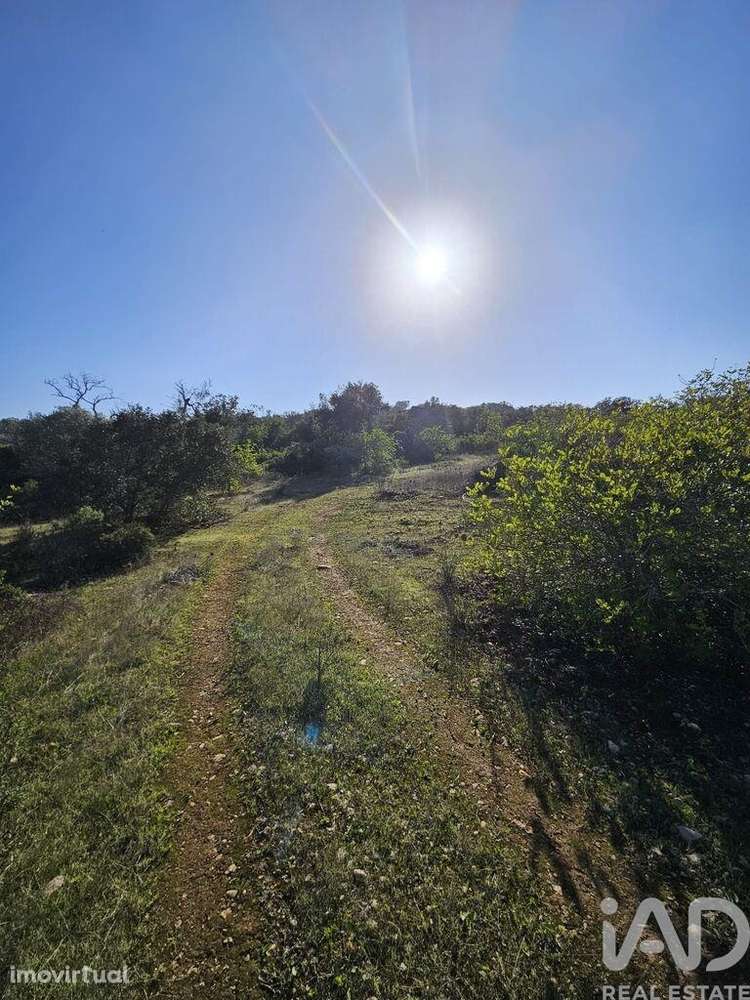 Terreno em Loulé (São Clemente) de 300,00 m2 - Grande imagem: 4/25
