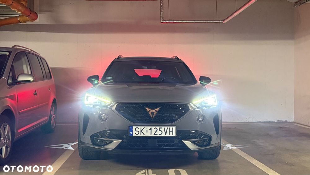 Cupra Formentor 2.0 TSI 4Drive DSG - 14
