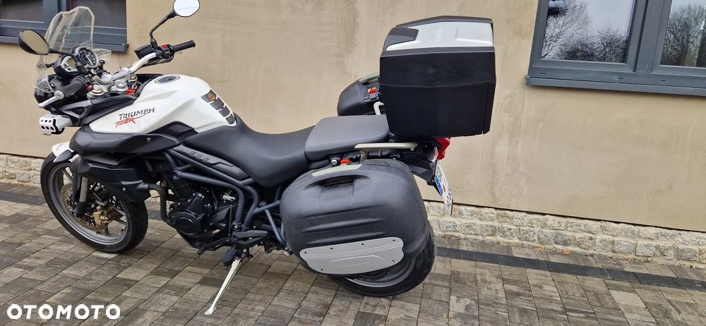 Triumph Tiger - 5