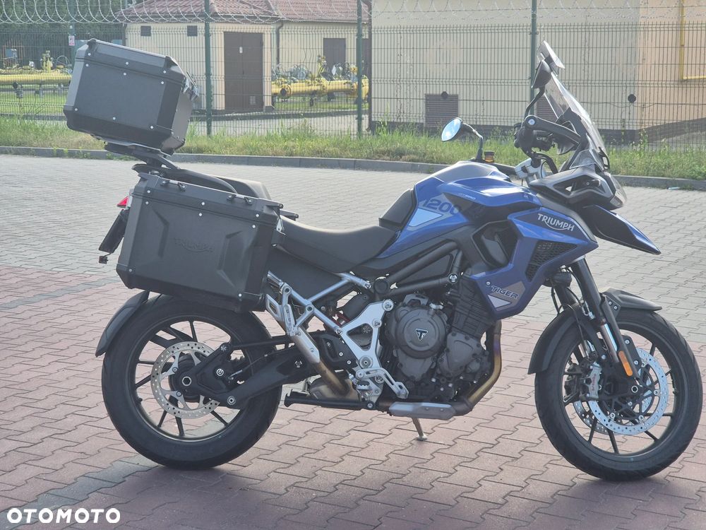 Triumph Tiger - 15