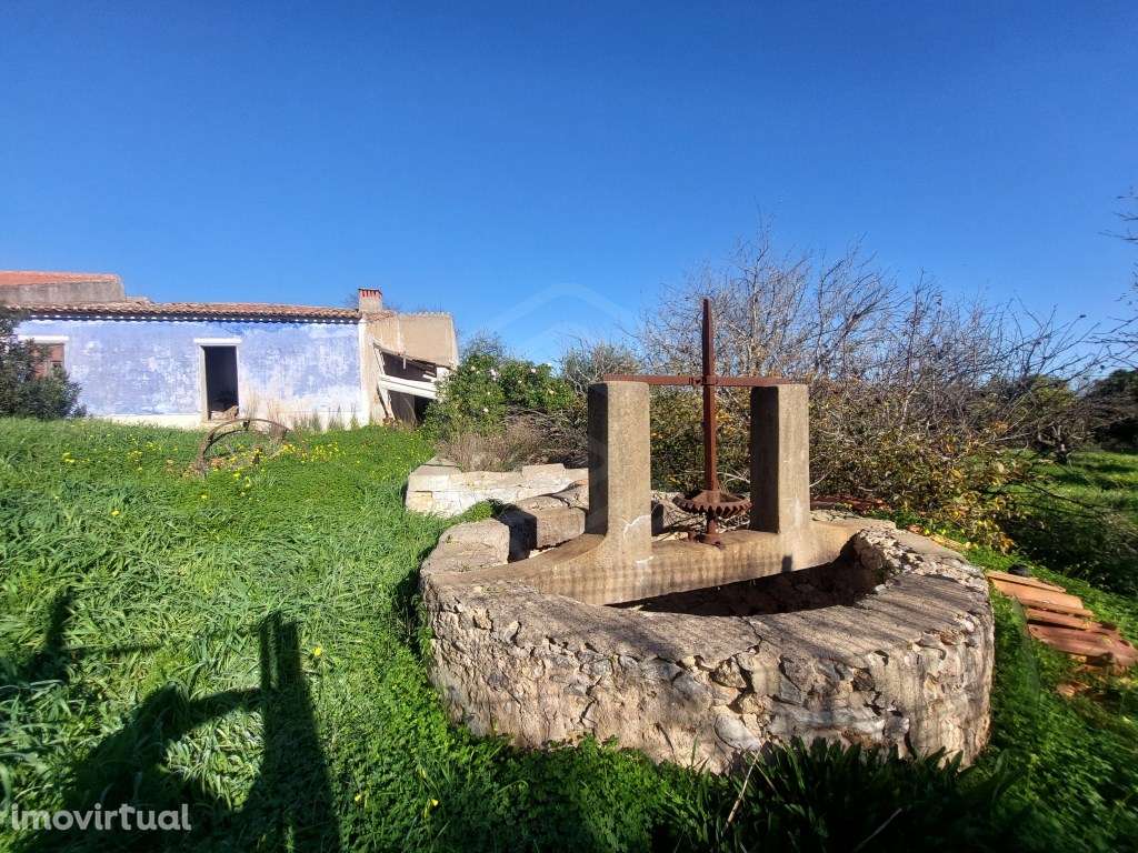 Quinta, Silves, Alcantarilha e Pêra, Algarve - Grande imagem: 2/48