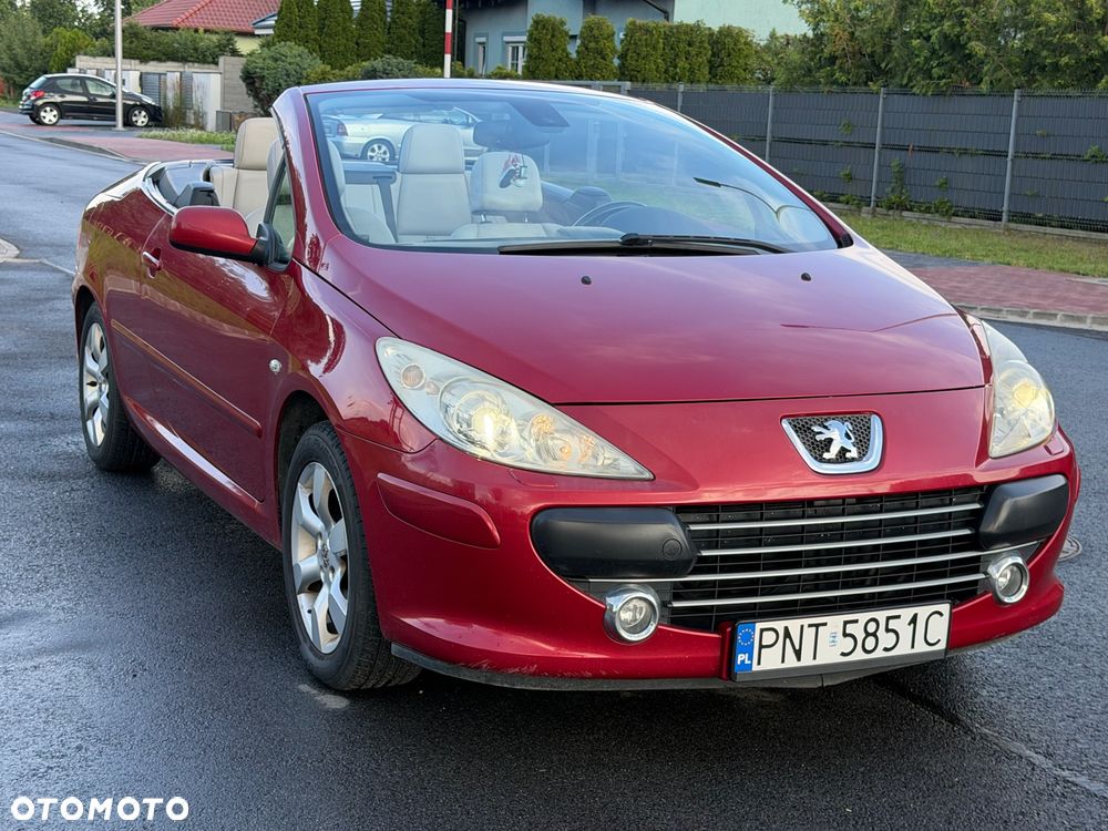 Peugeot 307 - 8