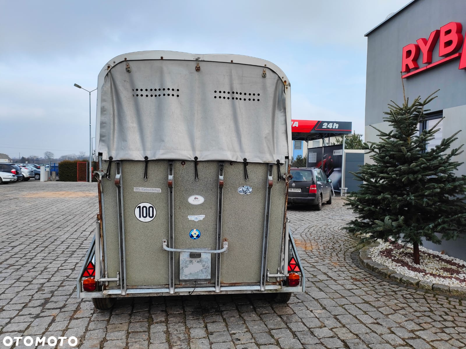 Bockmann T2V koniowóz przyczepa do koni - 3