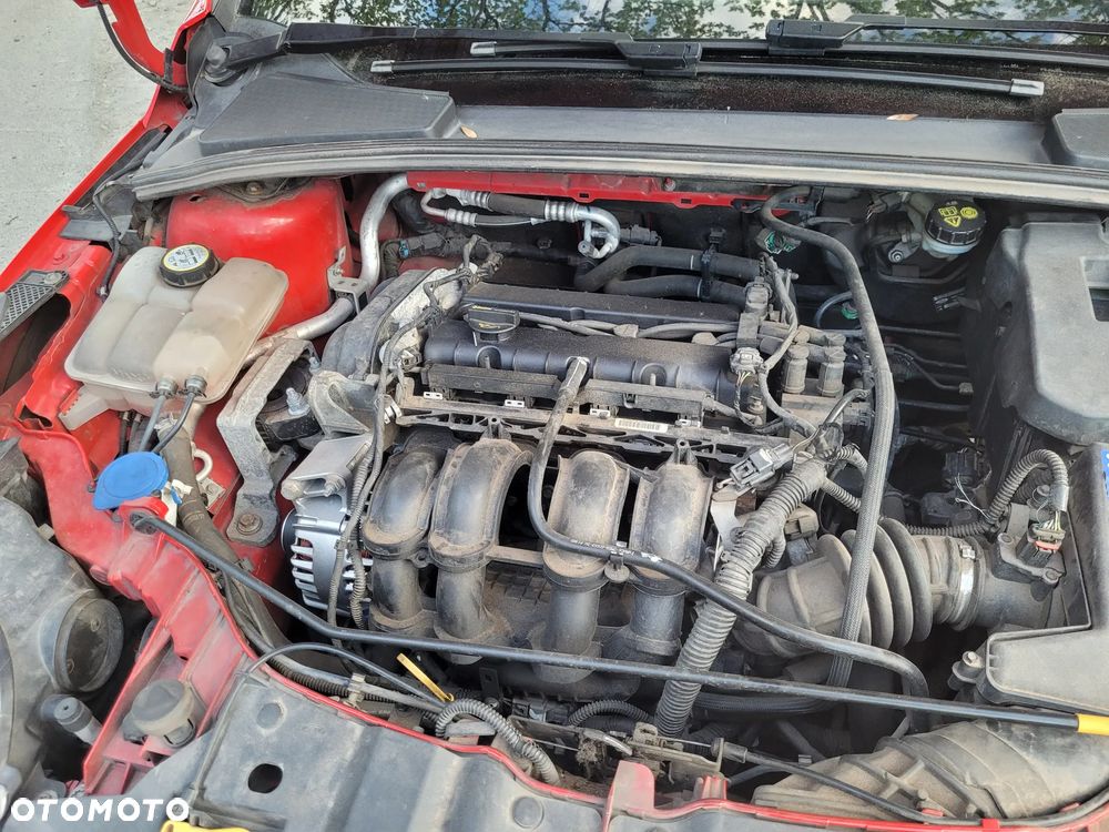 Ford Focus 1.6 TI-VCT Champions Edition - 40