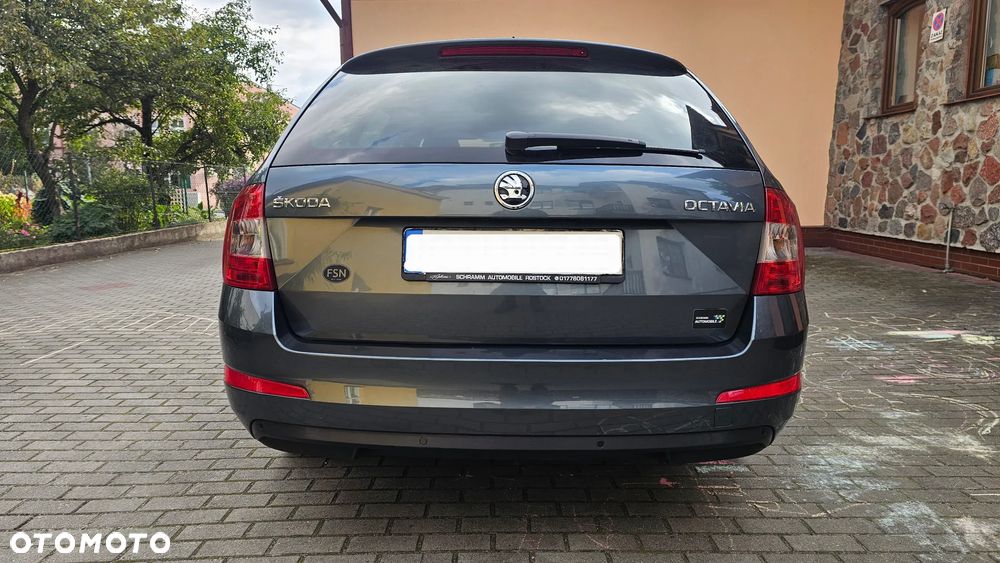 Skoda Octavia - 8