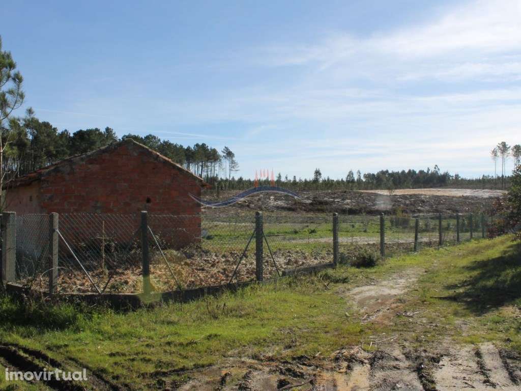 Terreno - Zona Marinha Grande. - Grande imagem: 4/7
