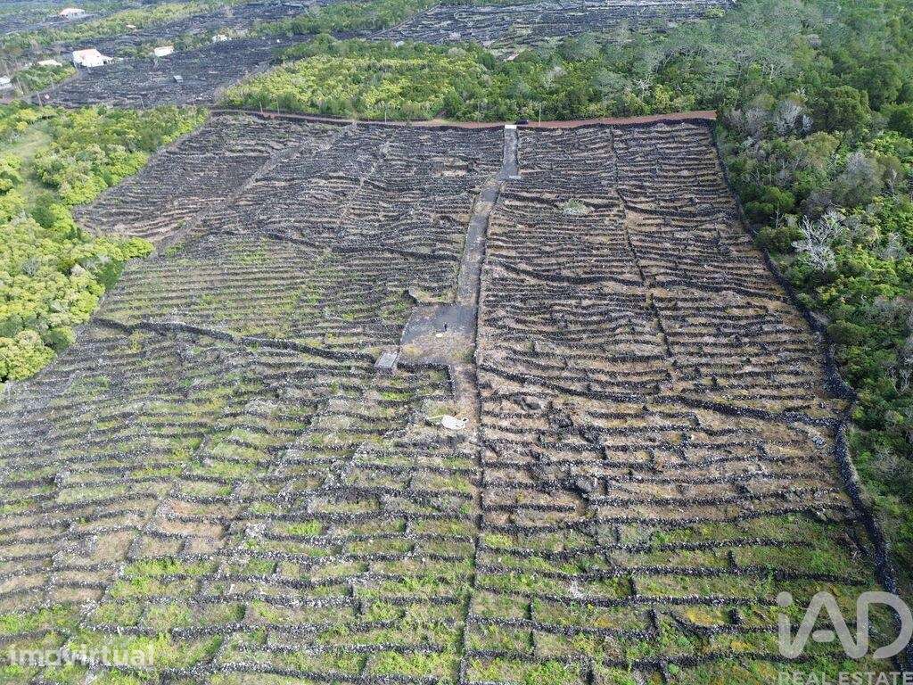Terreno em Madalena de 20010,00 m2 - Grande imagem: 3/11