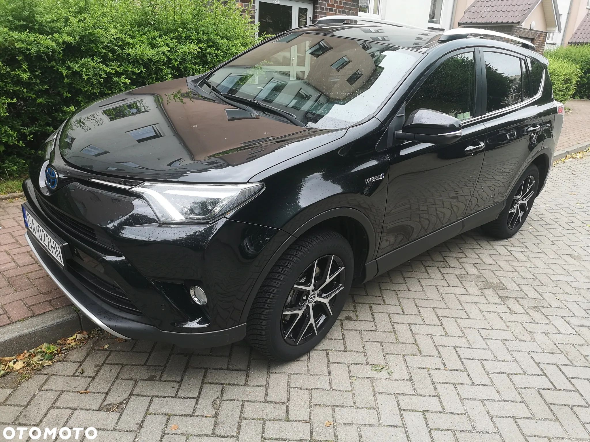 Toyota RAV4 Hybrid Platinum 4x2 - 4