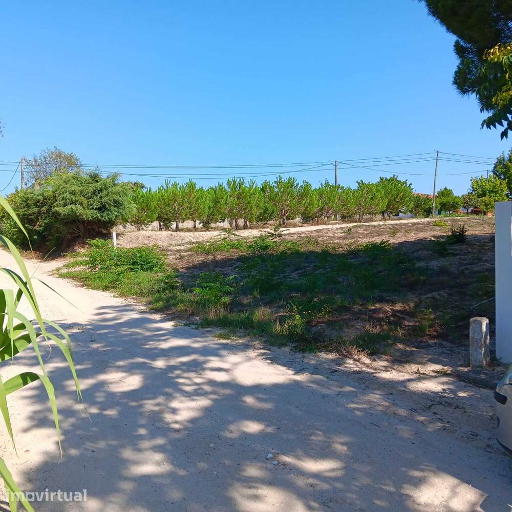 Fazenda 5000m2 de Terreno em Foros Vale Verde – Coruche - Grande imagem: 2/3
