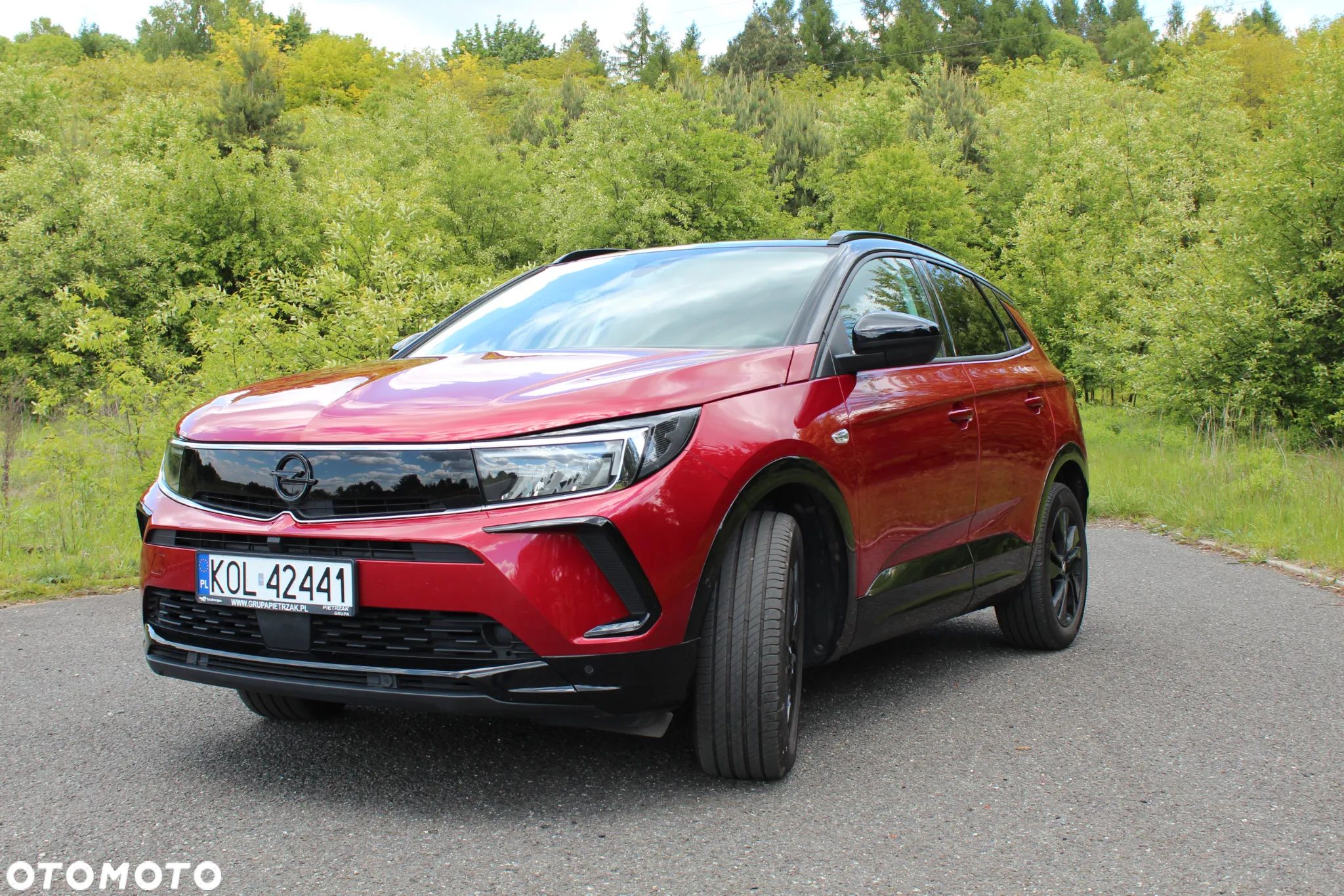 Opel Grandland 1.2 T GS S&S - 1