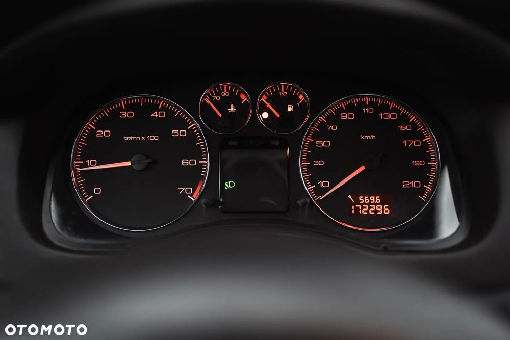 Peugeot 307 - 22