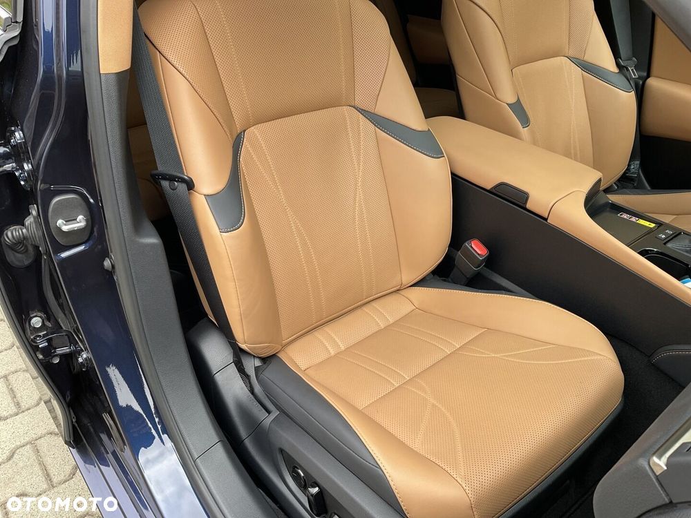 Lexus ES 300h Omotenashi - 12