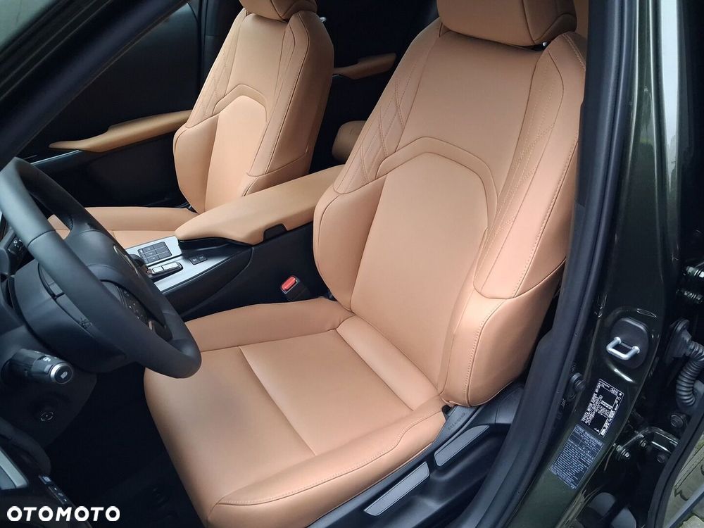 Lexus UX 300h F Sport Design - 21