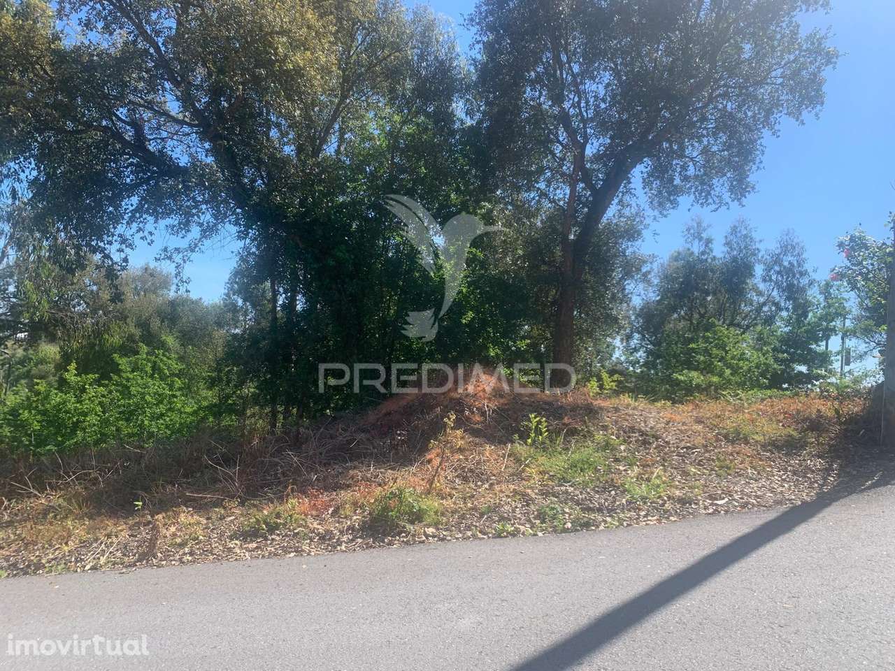 Terreno para venda no Largo Aguim, Madalena - Grande imagem: 5/6