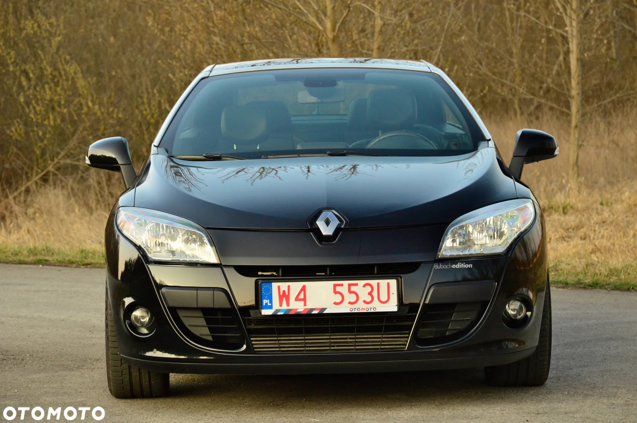 Renault Megane 1.3 TCe FAP Limited - 8