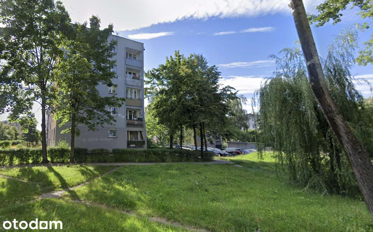 | Duże mieszkanie | Od Właściciela | 0% | Wyzwolenia | Opcja 3 pokoi |