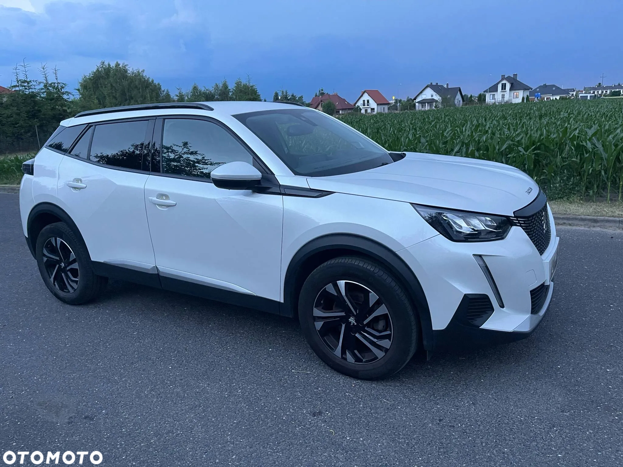 Peugeot 2008 BlueHDi 130 Allure S&S EAT8 - 4