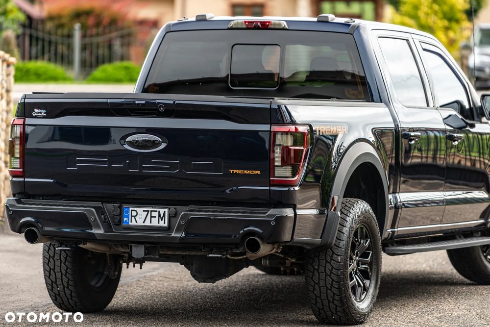 Ford F150 - 10