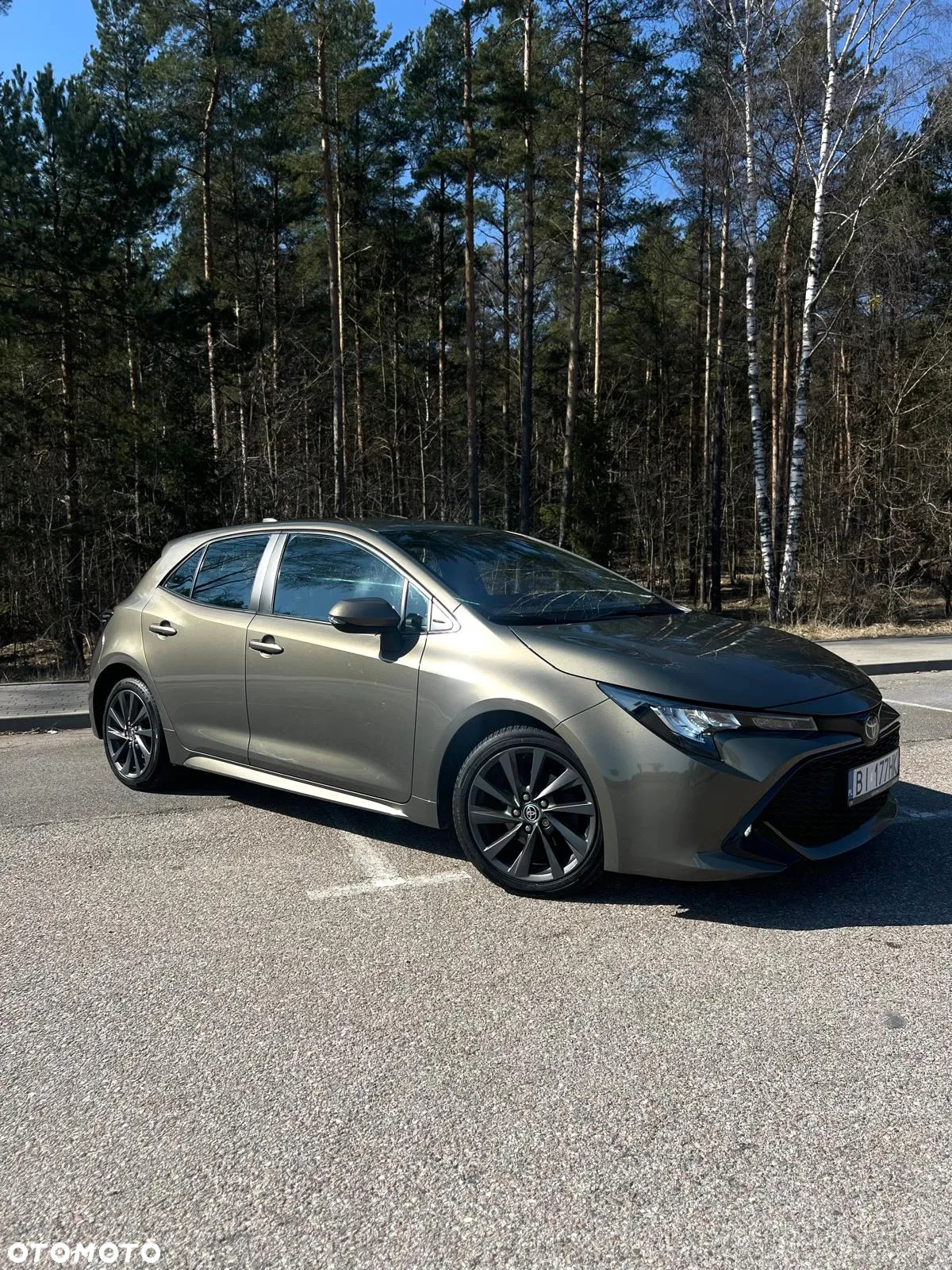 Toyota Corolla - 19