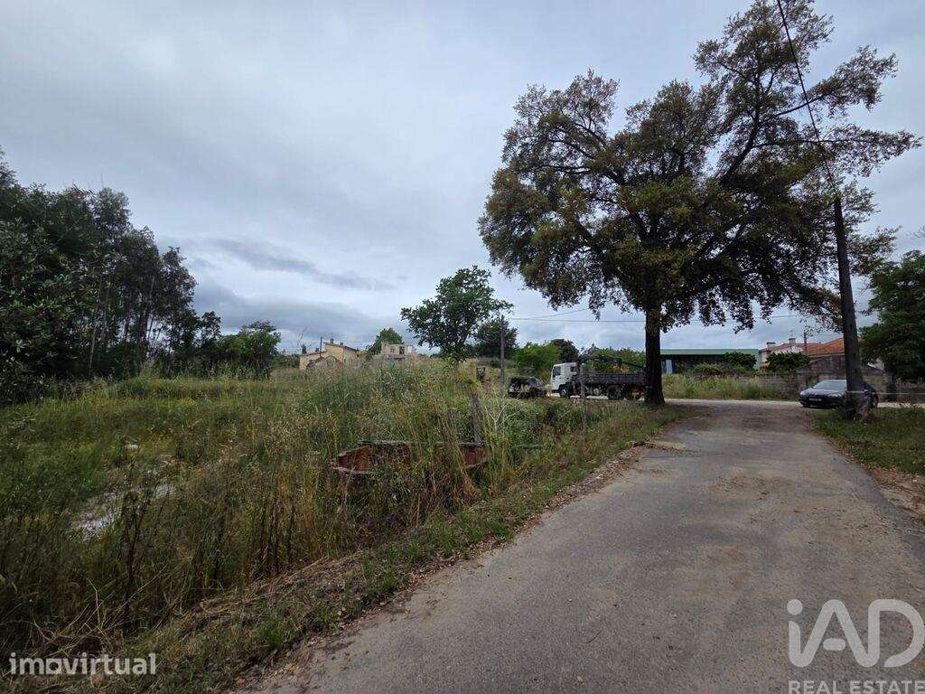 Terreno em São Joaninho - Grande imagem: 5/6
