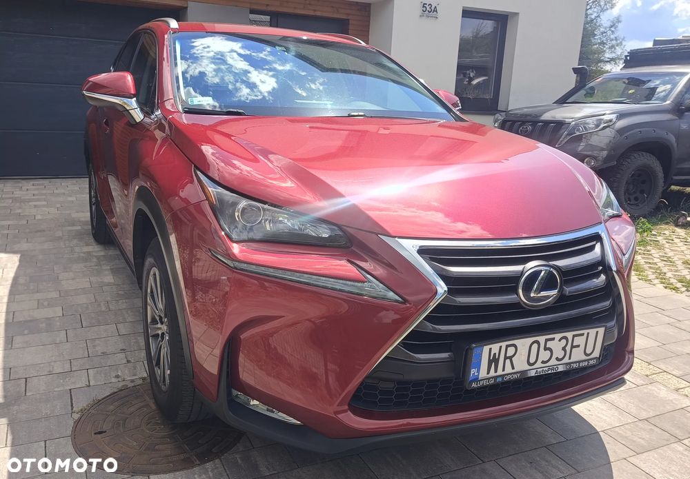 Lexus NX 300h Elite AWD - 14
