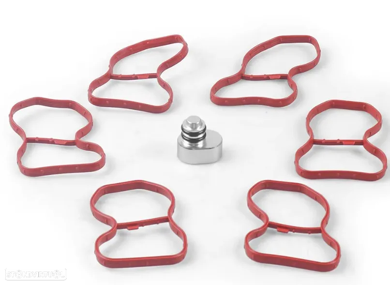Kit remoção substituição borboletas coletor de admissão BMW N47, N57, M47, M57 - 11