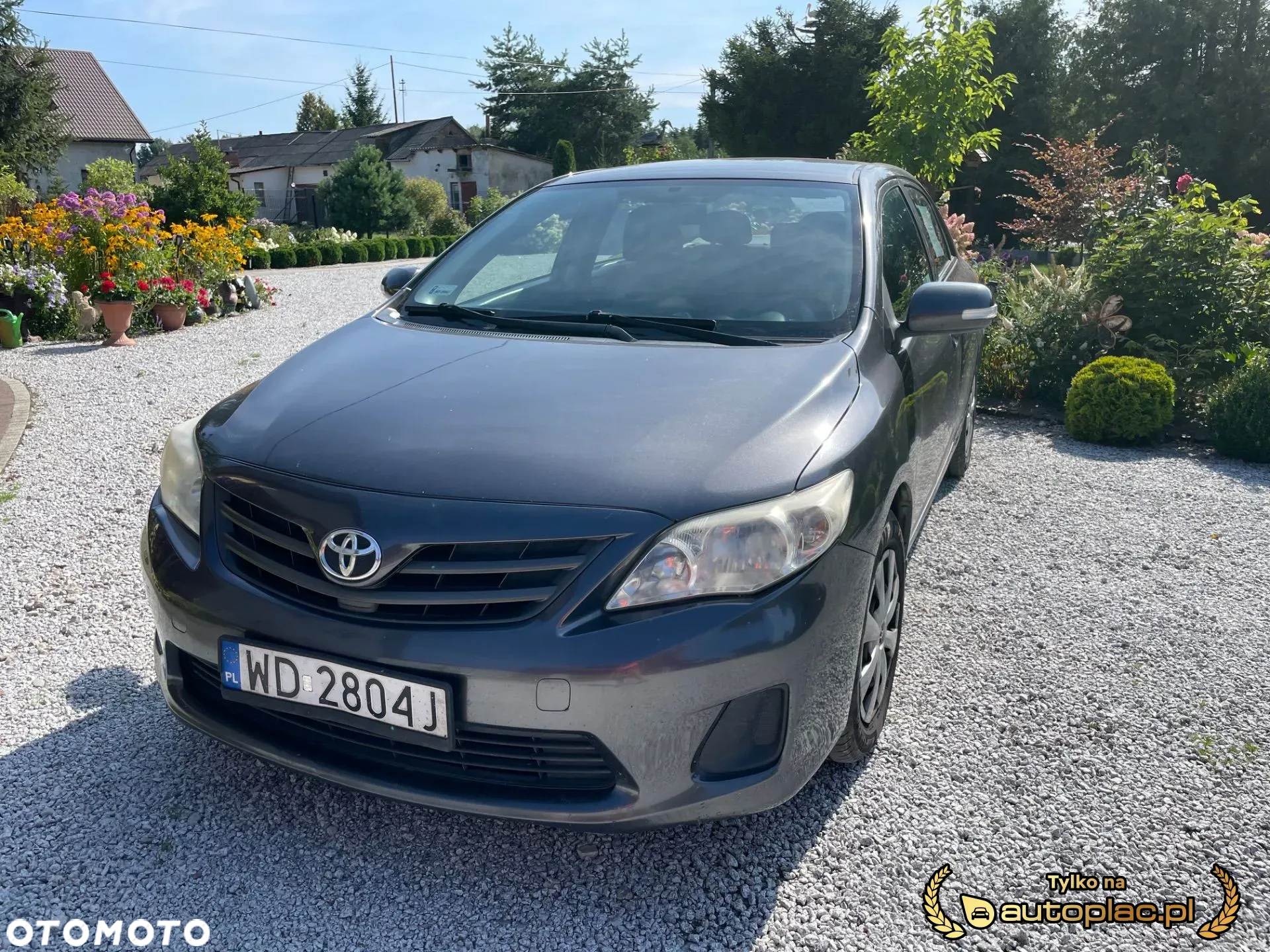 Toyota Corolla - 10