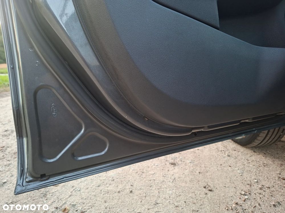 Ford Fiesta - 20