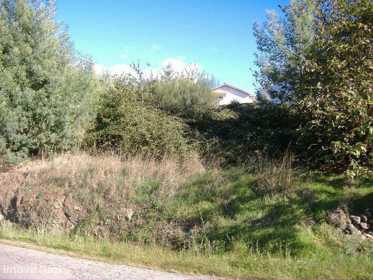 Chaves Vilela Seca - Grande imagem: 5/5