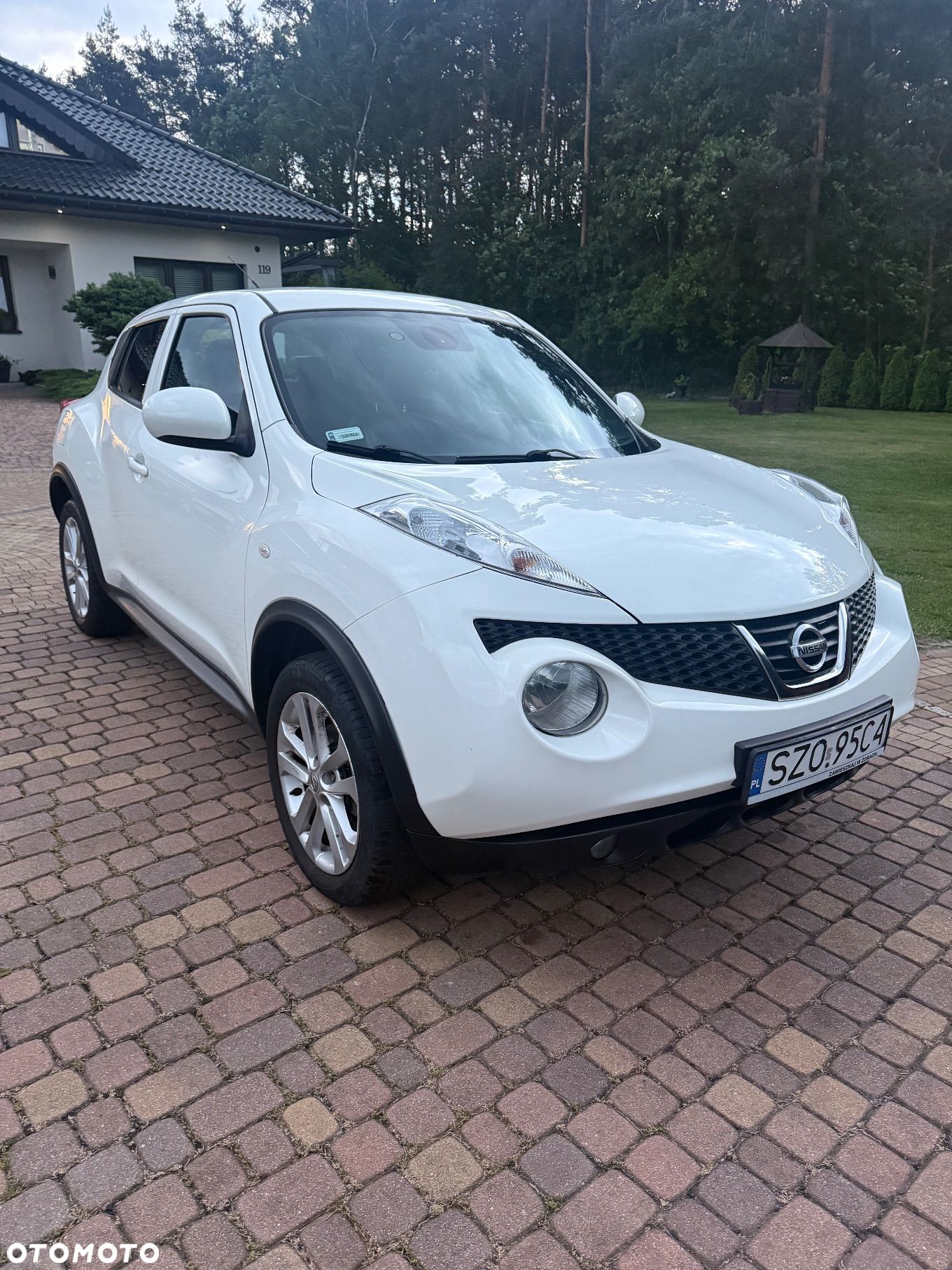 Nissan Juke 1.5 dCi Tekna - 1