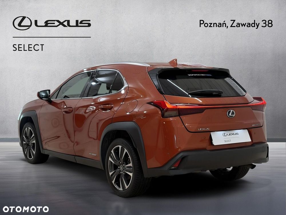 Lexus UX 250h GPF Business Edition 2WD - 10