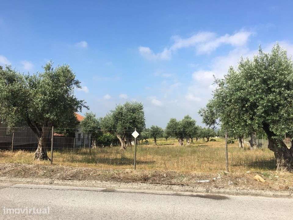 Terreno para construção  - Carvalheiros - Ref. T2123/18 - Grande imagem: 2/3