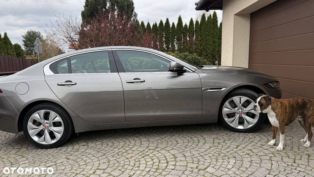 Jaguar XE - 15