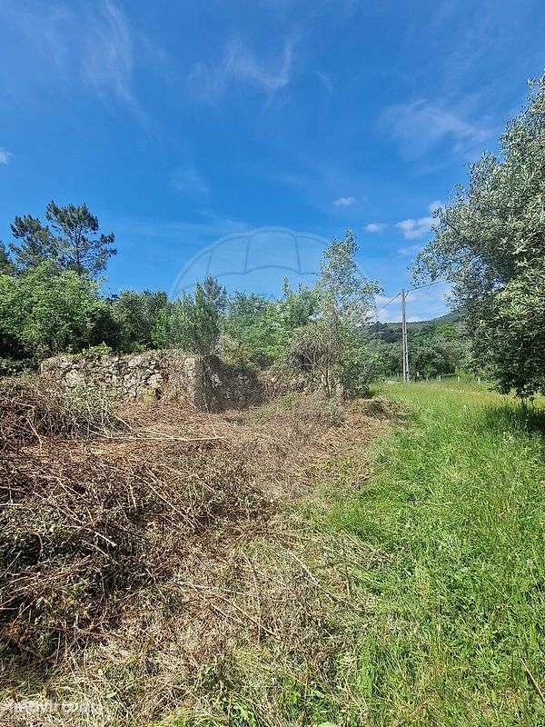 Terreno  para venda - Grande imagem: 5/9